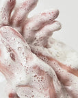 Anua - Heartleaf Succinic Moisture Cleansing Foam
