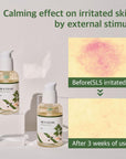 Round Lab - Mugwort Calming Serum